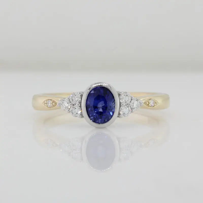 9 Carat Yellow and White Gold Sapphire and Diamond Ring