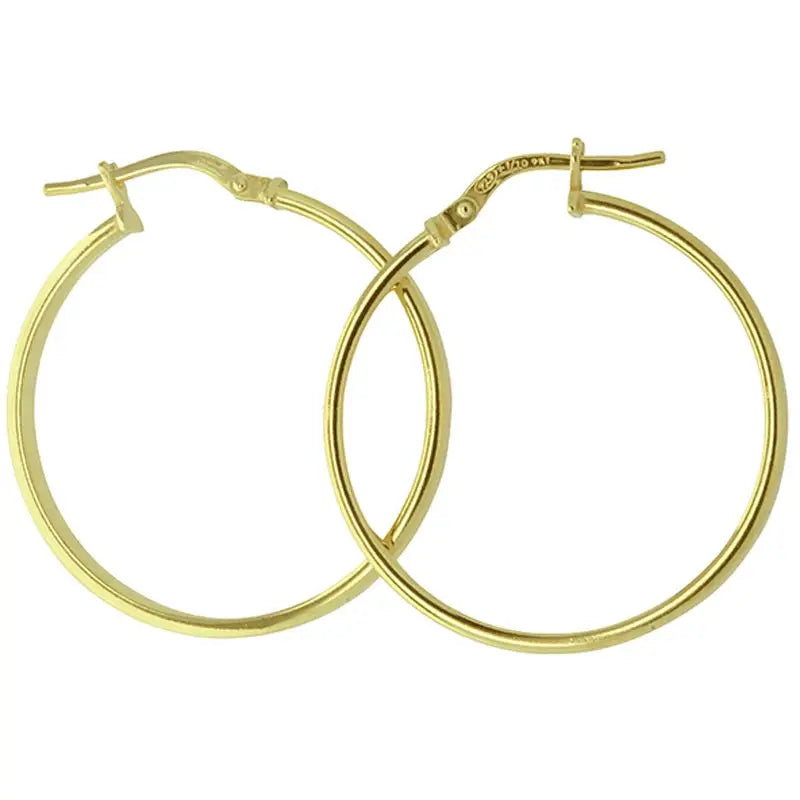9 Carat Yellow Gold Sterling Silver Filled Hoop Earrings 2