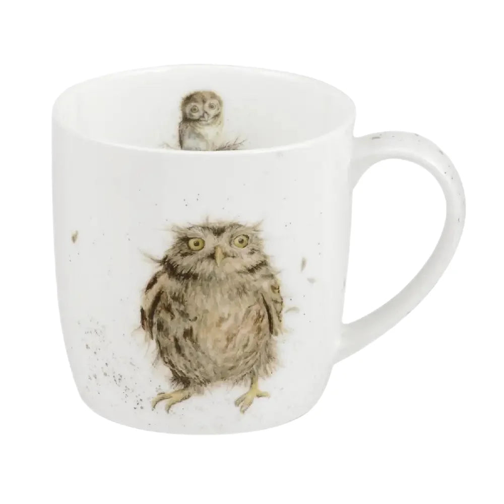 Royal Worcester Wrendale Designs - What A Hoot Owl Mug